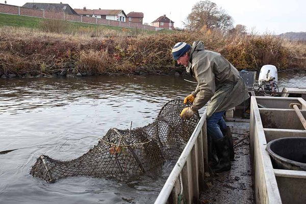 Fischer auf dem Weg zum Markt