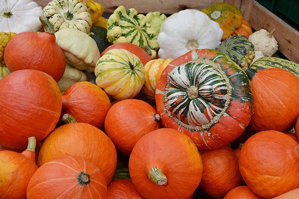 Frisches Gemüse auf dem Wochenmarkt